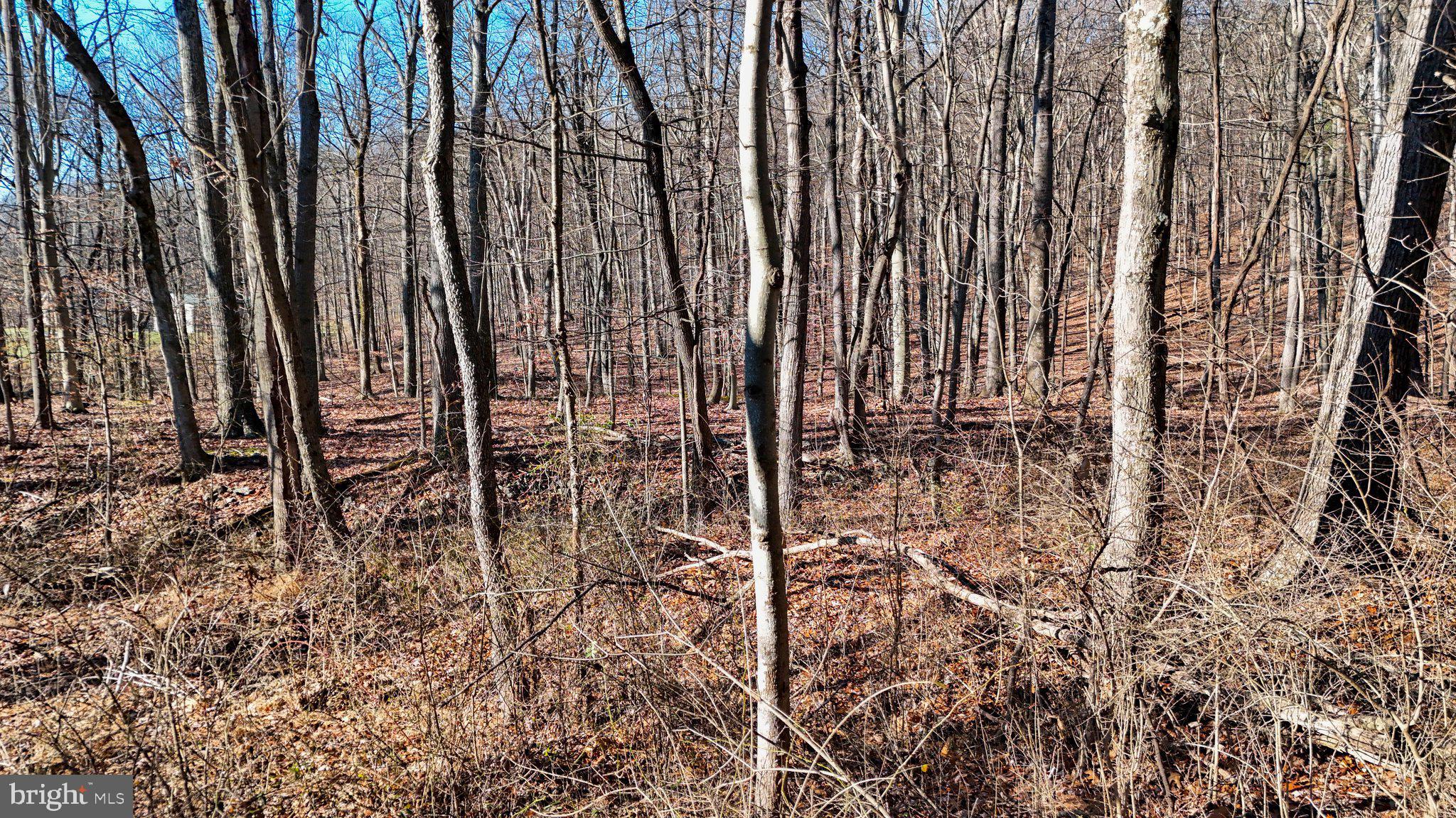 11 National Pike Clear Spring, MD 21722 - Photo 7 of 20