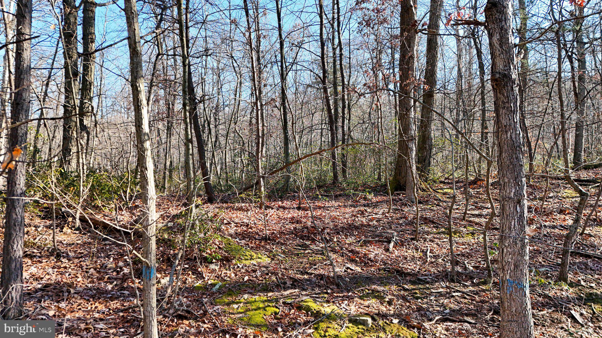 11 National Pike Clear Spring, MD 21722 - Photo 8 of 20