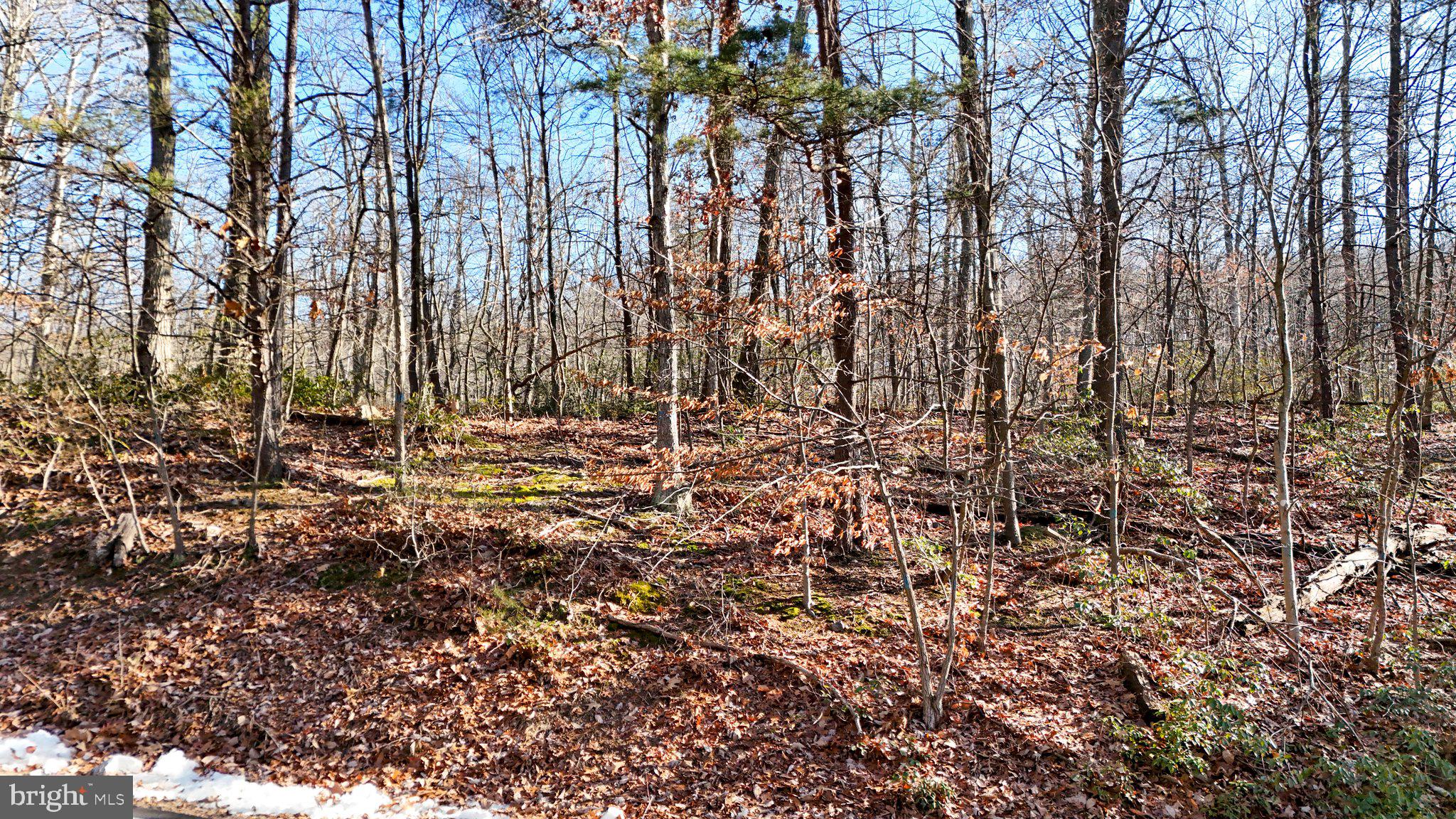 11 National Pike Clear Spring, MD 21722 - Photo 9 of 20