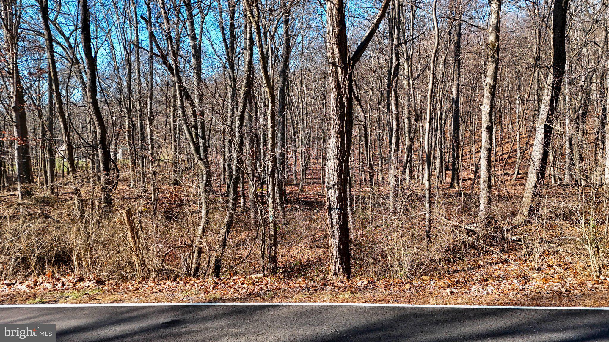 11 National Pike Clear Spring, MD 21722 - Photo 10 of 20