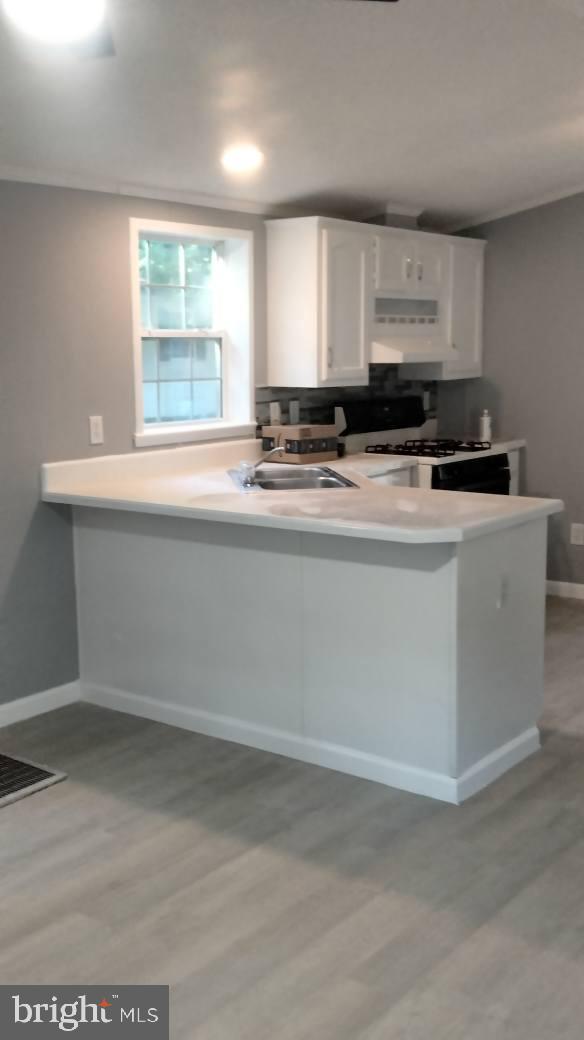 20 Sage Drive Bridgeton, NJ 08302 - Photo 8 of 13