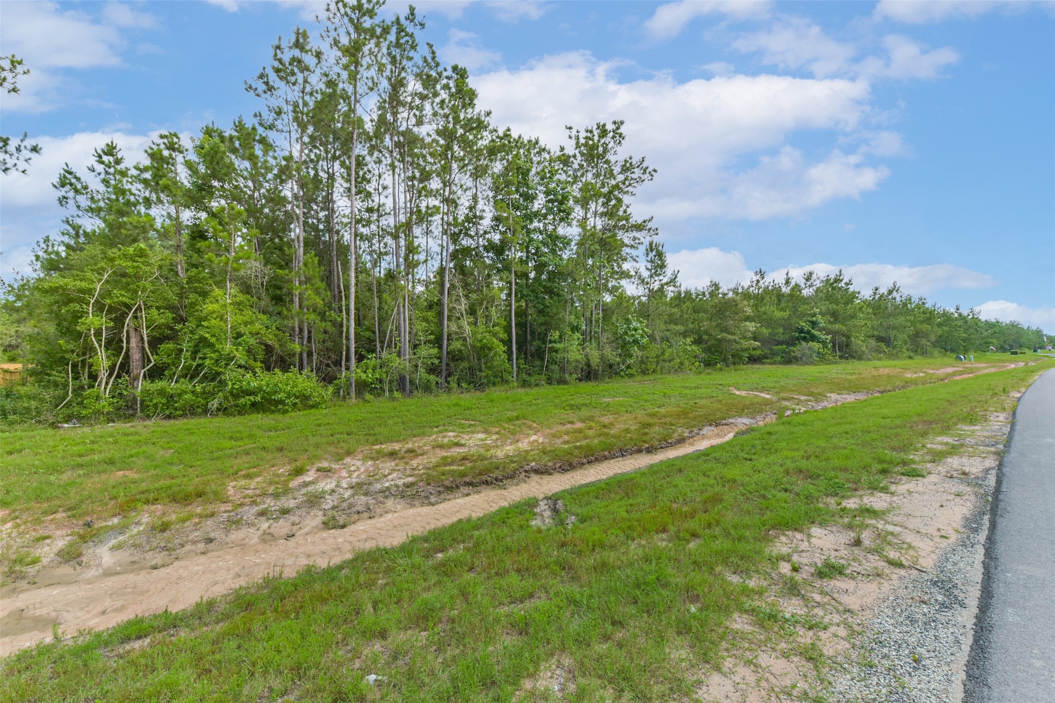 15917 Ridge Oak Road Willis, TX 77378 - Photo 14 of 20 a view of a park