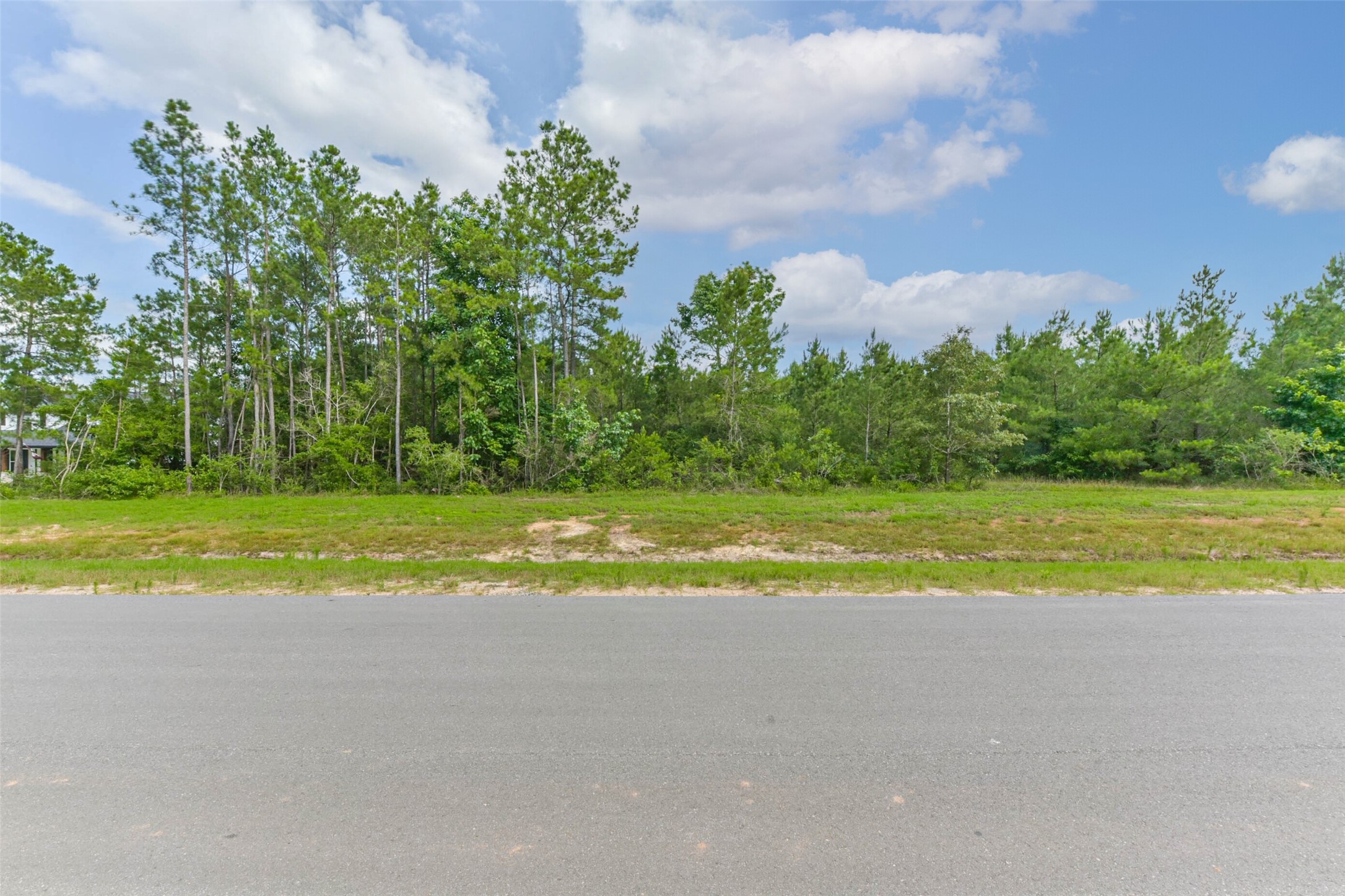 15917 Ridge Oak Road Willis, TX 77378 - Photo 15 of 20 a view of a house and a yard