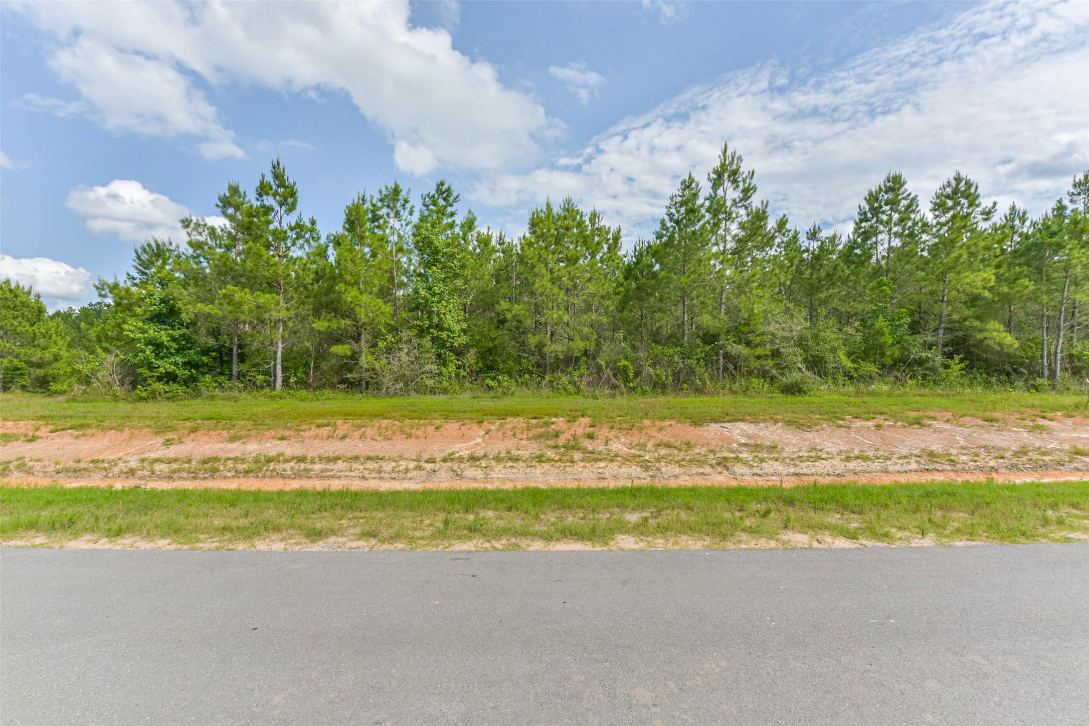 15917 Ridge Oak Road Willis, TX 77378 - Photo 19 of 20 a view of a swimming pool with a yard