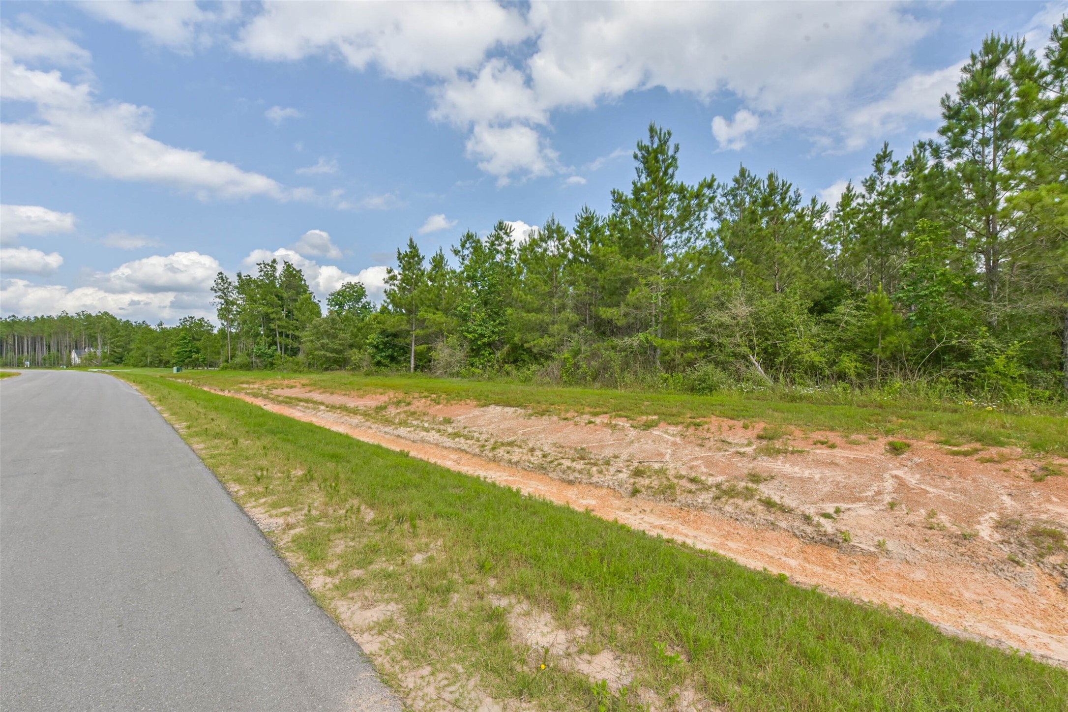 15917 Ridge Oak Road Willis, TX 77378 - Photo 20 of 20 a view of a yard with palm trees