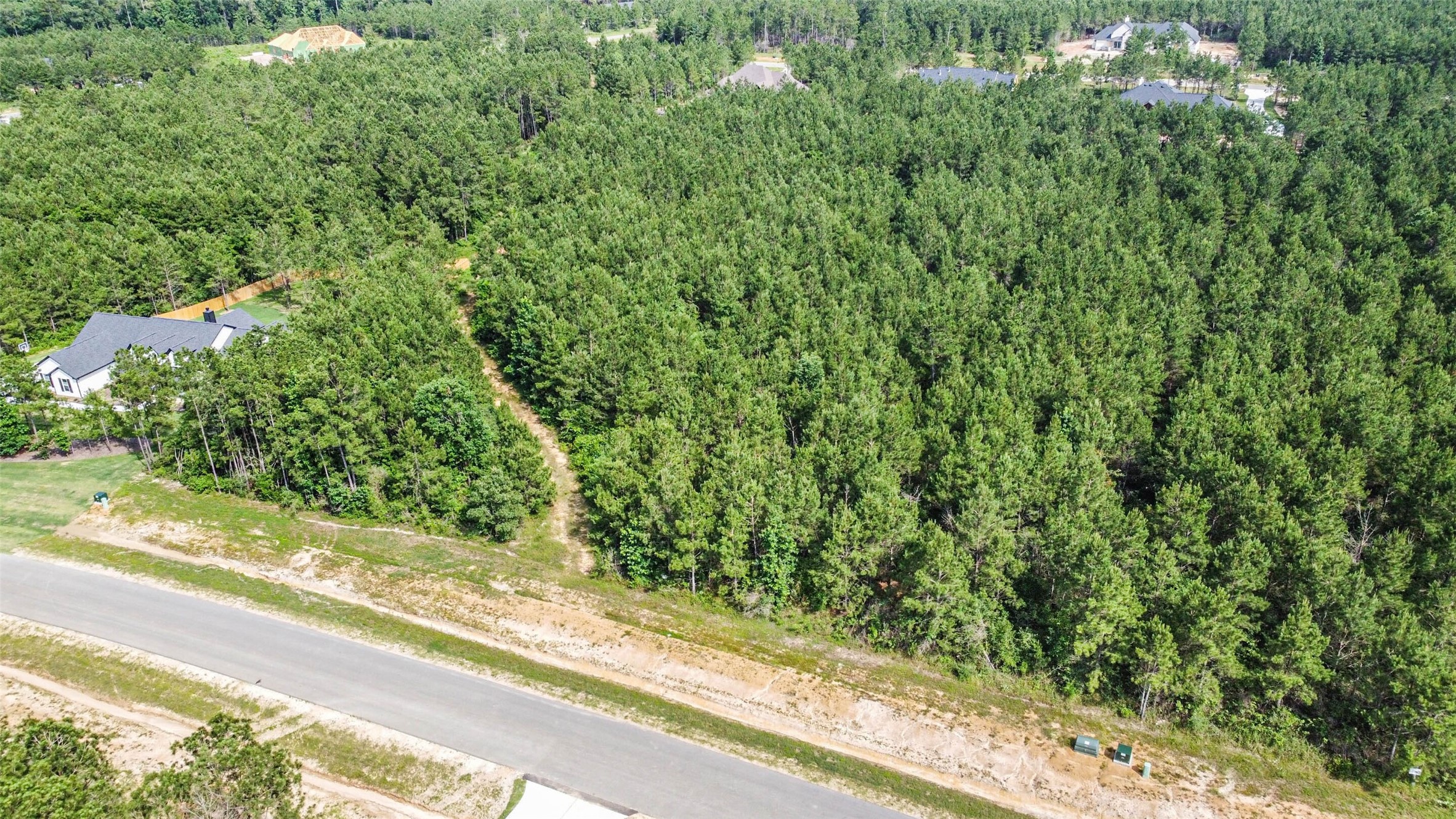 15917 Ridge Oak Road Willis, TX 77378 - Photo 2 of 20 a view of a yard from a window