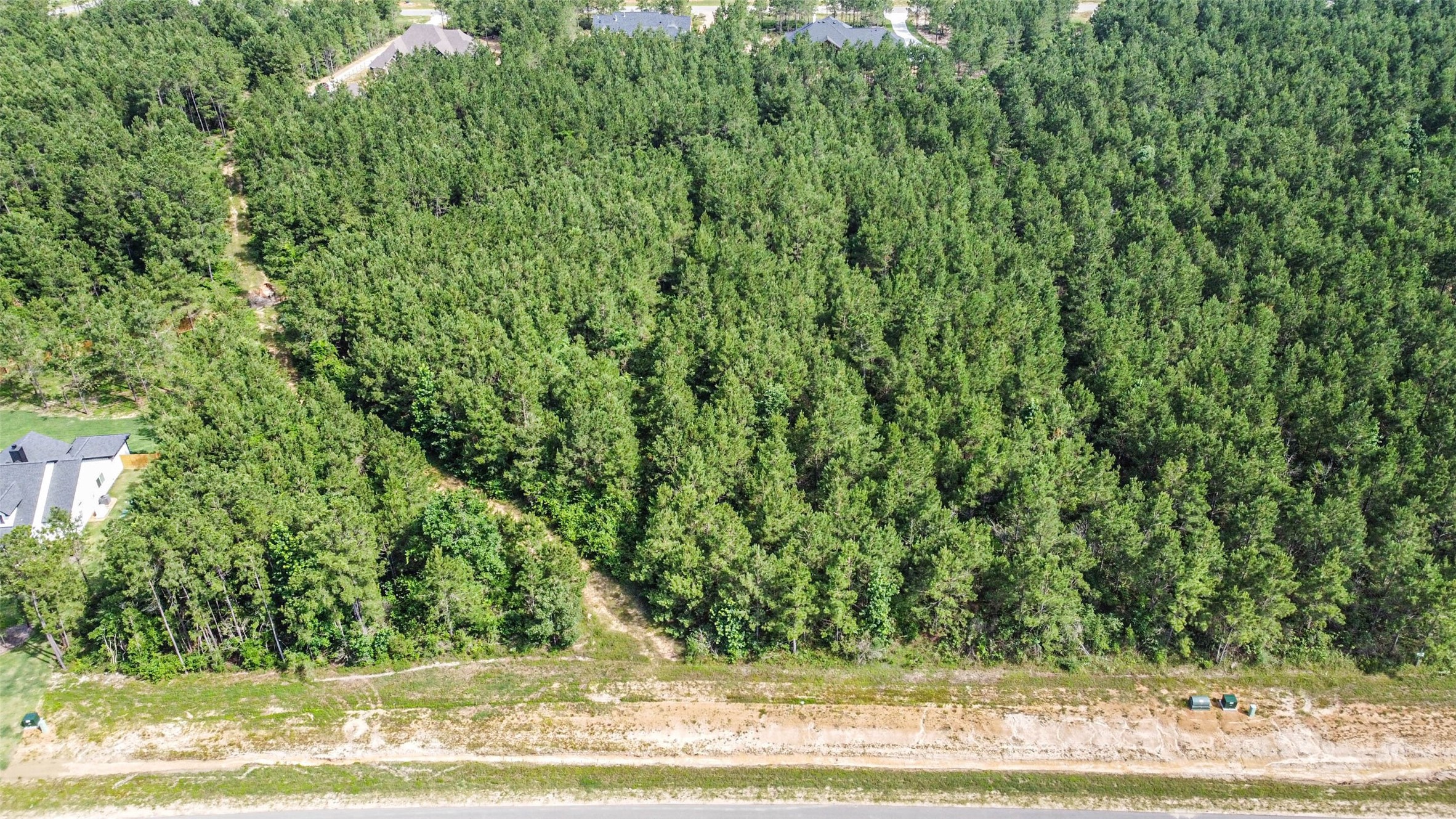 15917 Ridge Oak Road Willis, TX 77378 - Photo 3 of 20 a view of a yard