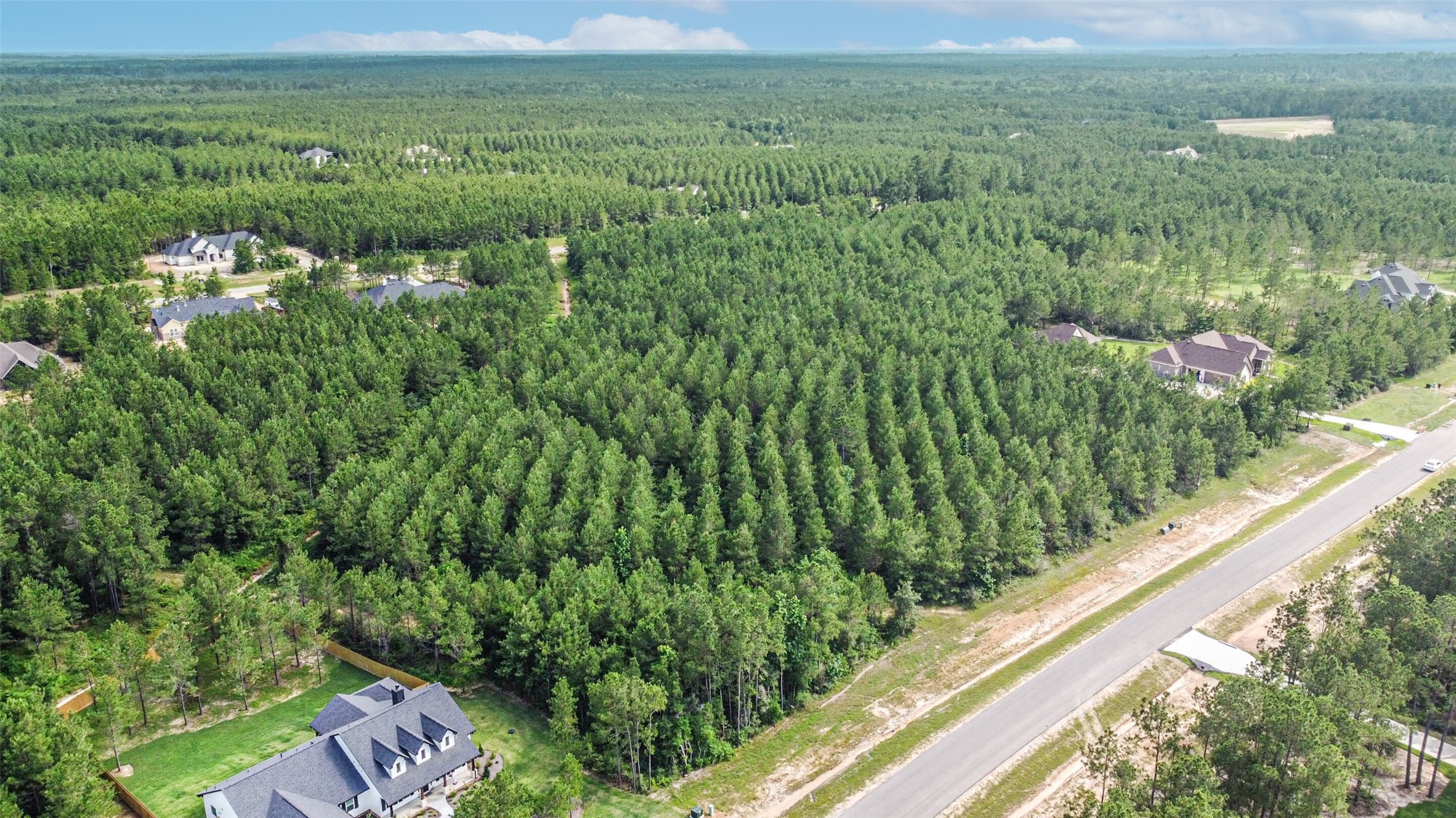 15917 Ridge Oak Road Willis, TX 77378 - Photo 5 of 20