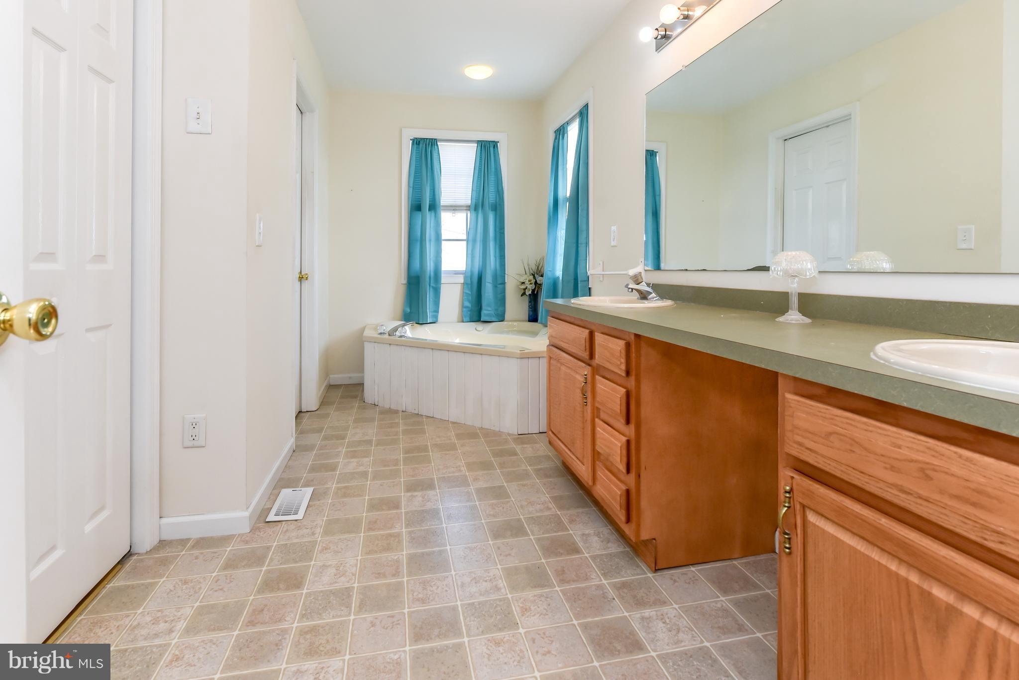 104 Turtleback Court Rising Sun, MD 21911 - Photo 16 of 30 Bath (Master)