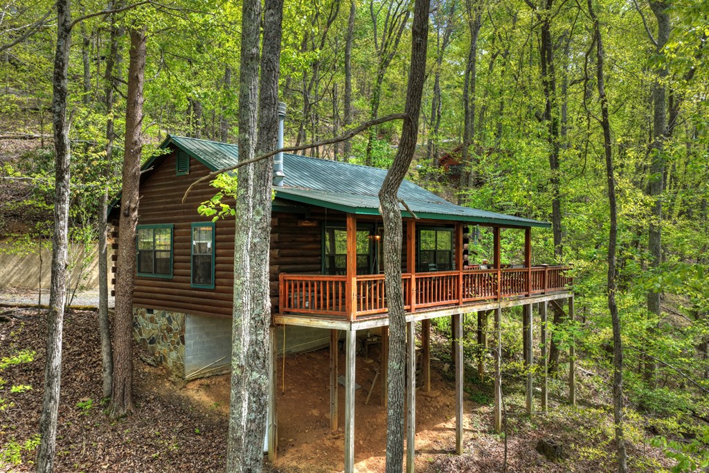 660 Ripshin Mountain Road Blue Ridge, GA 30513 - Photo 30 of 40