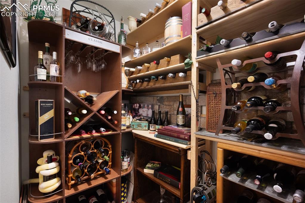 6370 Perfect View Colorado Springs, CO 80919 - Photo 37 of 49 walk in closet