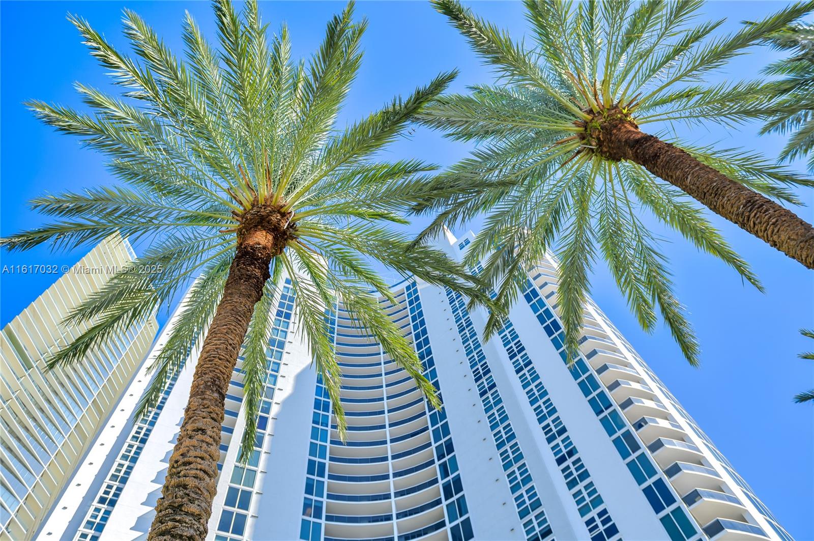18911 Collins Avenue, Unit 1003 Sunny Isles Beach, FL 33160 - Photo 30 of 47 a view of a yard with a palm tree