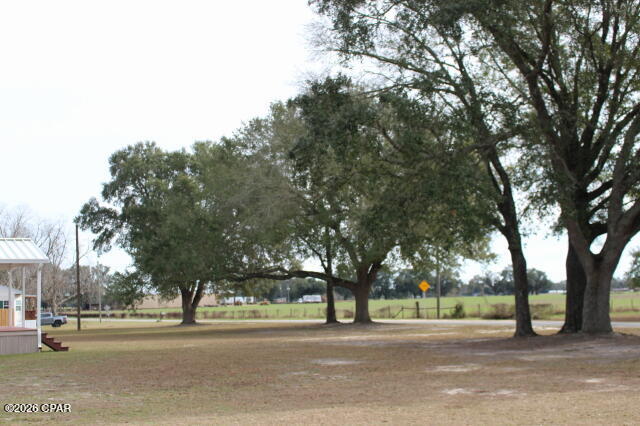 5008 3rd Avenue Malone, FL 32445 - Photo 54 of 57