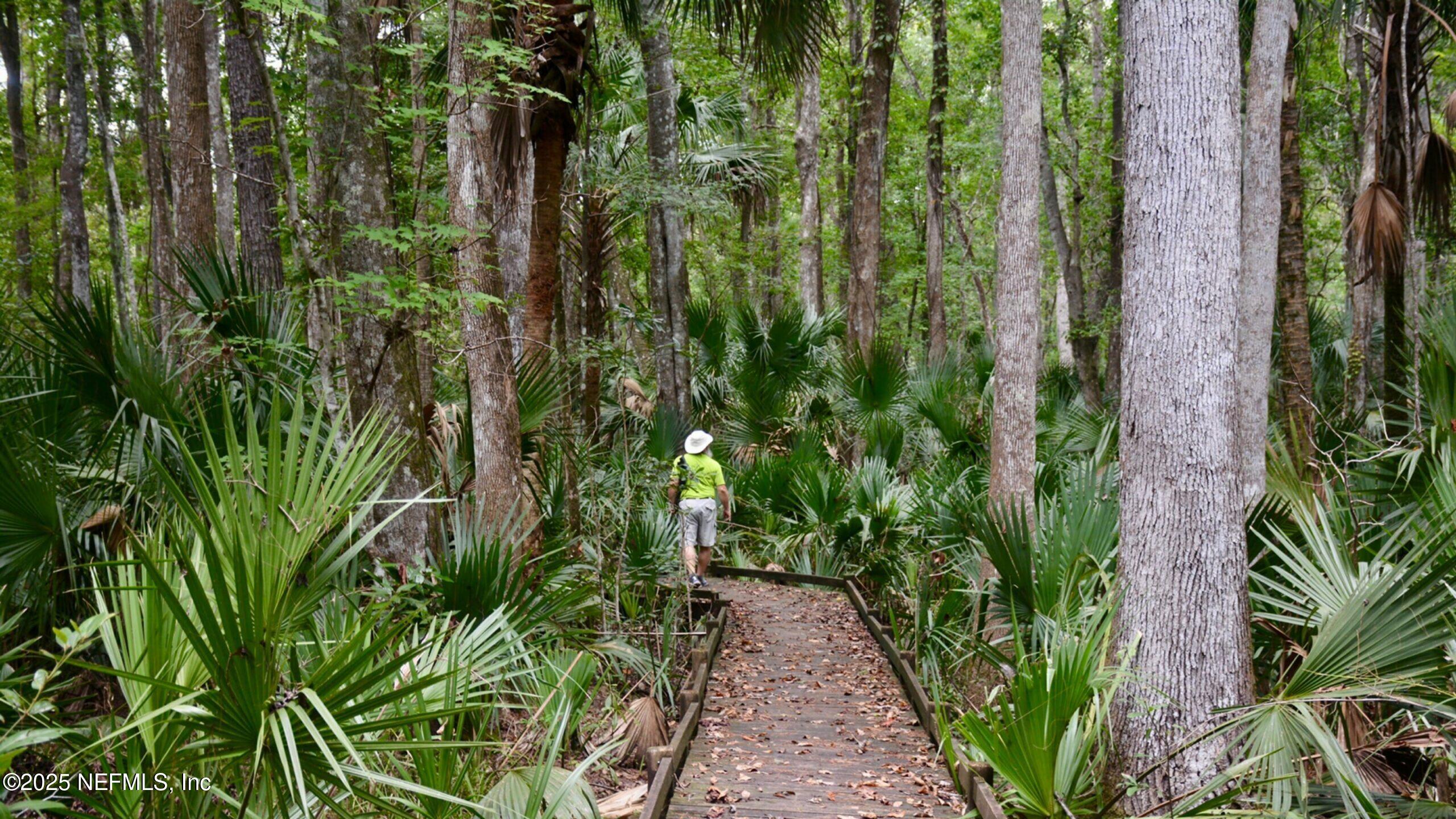 24480 Northeast 127 Street Salt Springs, FL 32134 - Photo 57 of 59 Salt springs trail