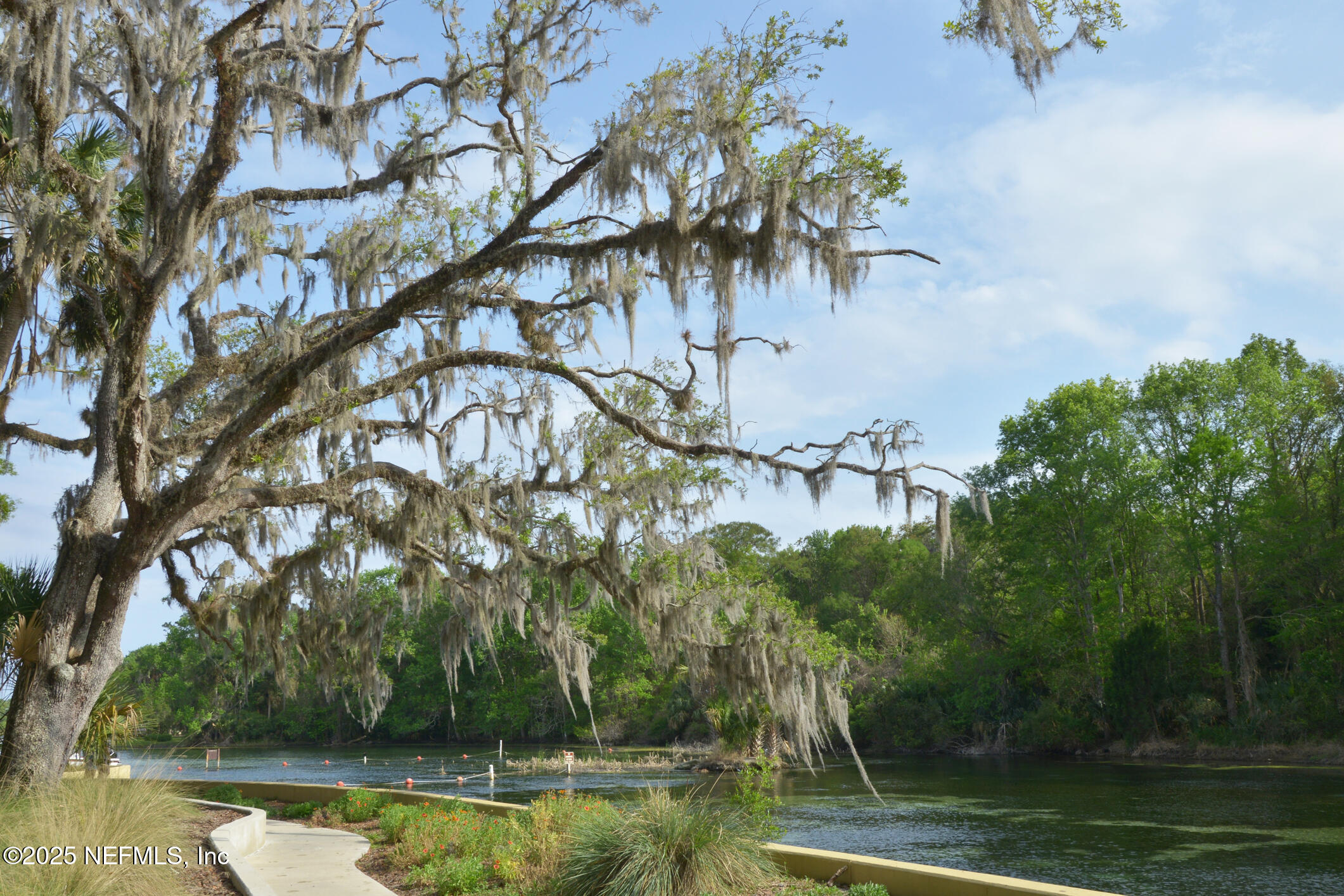 24480 Northeast 127 Street Salt Springs, FL 32134 - Photo 59 of 59 a view of a lake with large trees