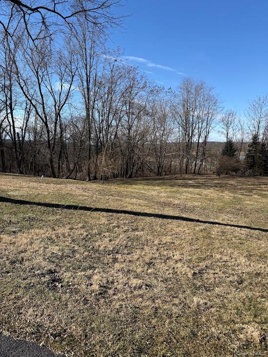 347 Bellvale Road Chester, NY 10990 - Photo 16 of 17