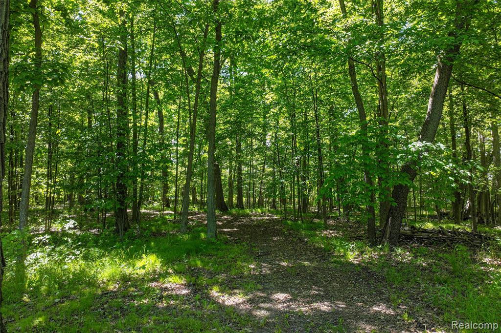 3075 Crandall Road Howell, MI 48855 - Photo 17 of 25