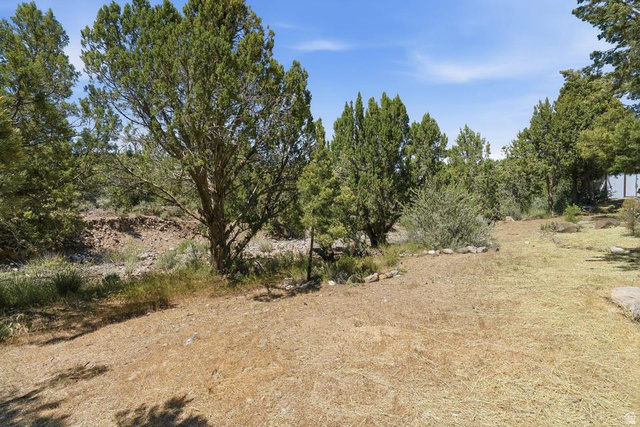 327 North Lodge Road Central, UT 84722 - Photo 34 of 45 Expansive natural landscape featuring mature evergreen trees and a varied terrain