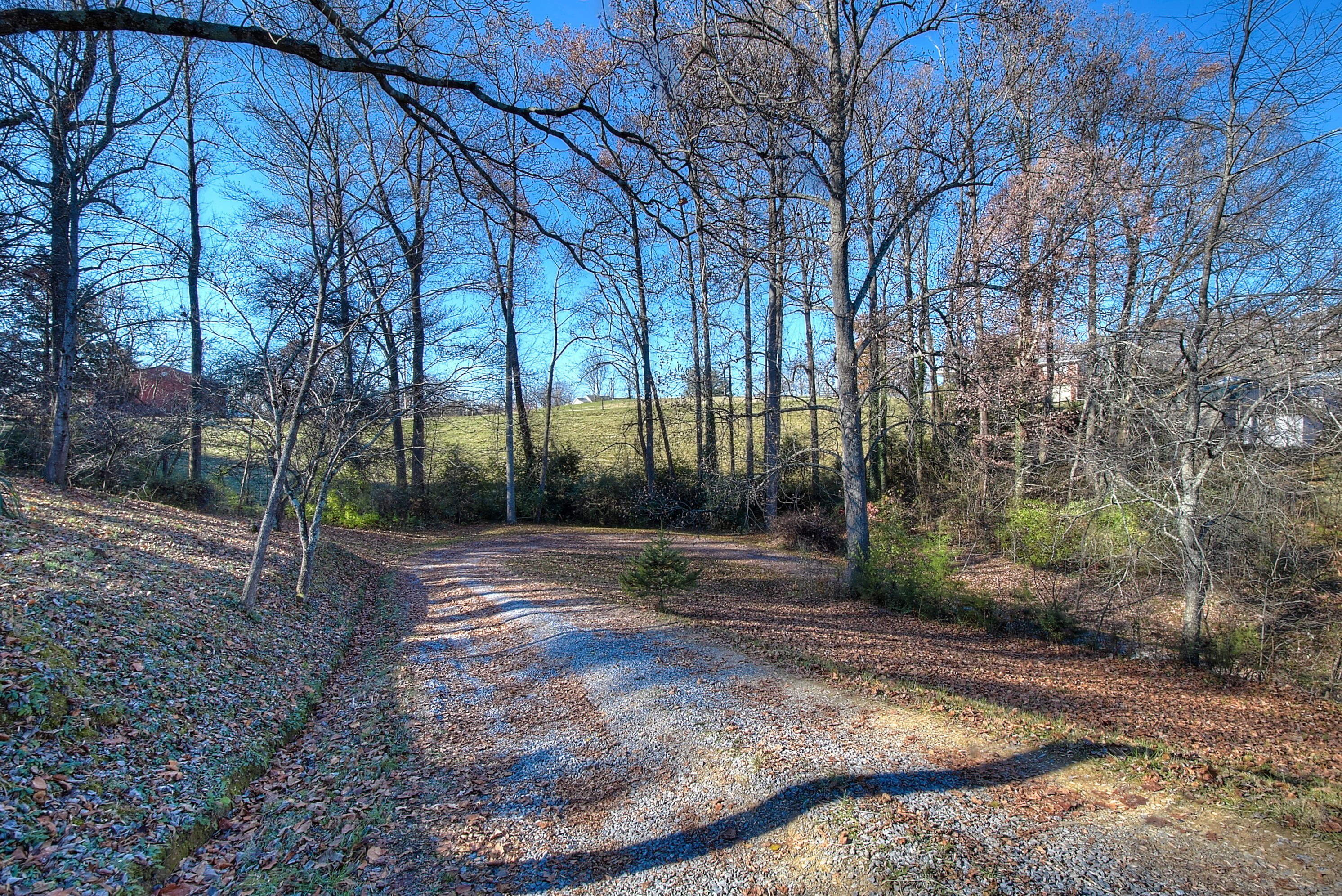 108 Poor Farm Road Greeneville, TN 37745 - Photo 24 of 30 8EE59E31-5A42-4C49-AEE2-43939DBD1683