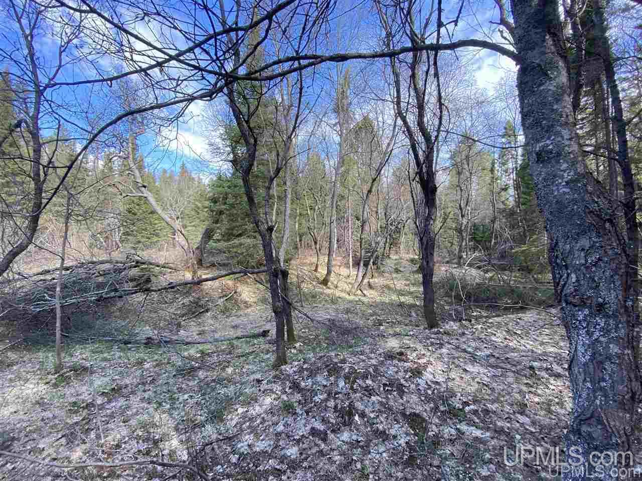Tbd Tbd Co Road Negaunee, MI 49866 - Photo 28 of 40