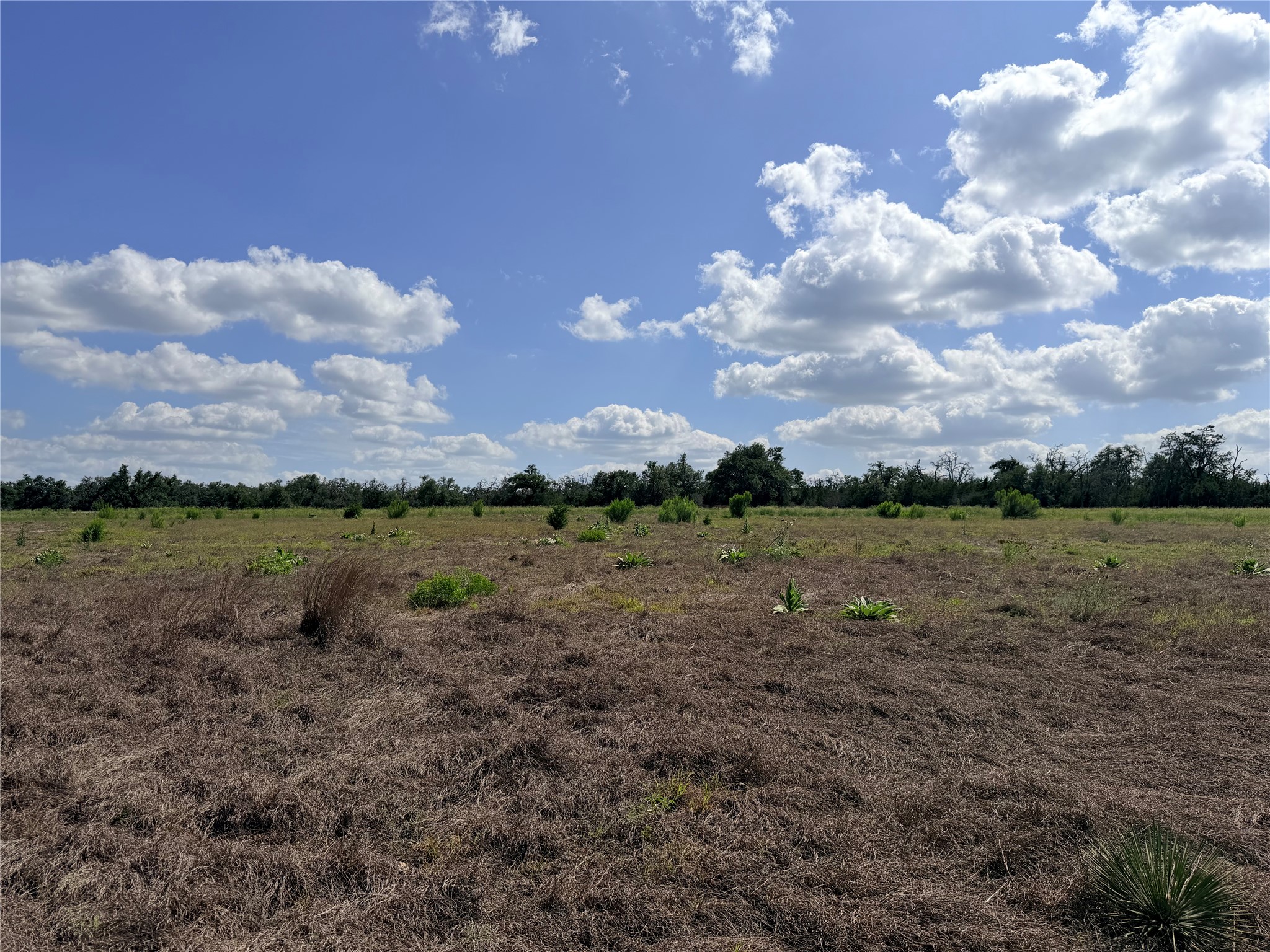 485 Inspiration Loop Comfort, TX 78013 - Photo 2 of 22 A sprawling, open field beckons with endless possibilities for development under a vast blue sky.