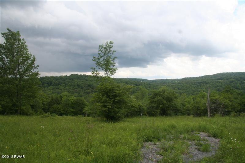 Creek Road Pleasant Mount, PA 18453 - Photo 5 of 9