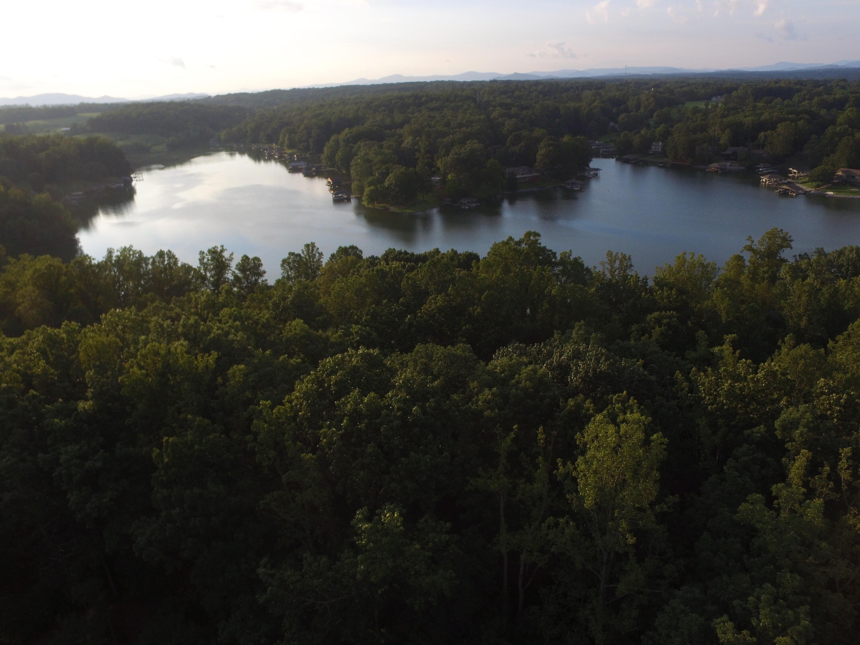 2365 Lakewood Forest Road Moneta, VA 24121 - Photo 4 of 90 a view of a lake and mountain view