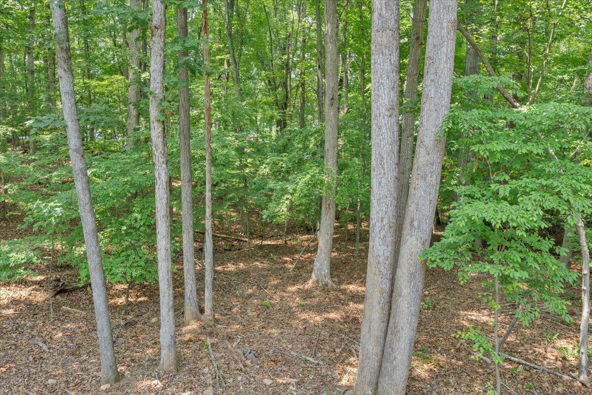 2365 Lakewood Forest Road Moneta, VA 24121 - Photo 41 of 90 Rear View