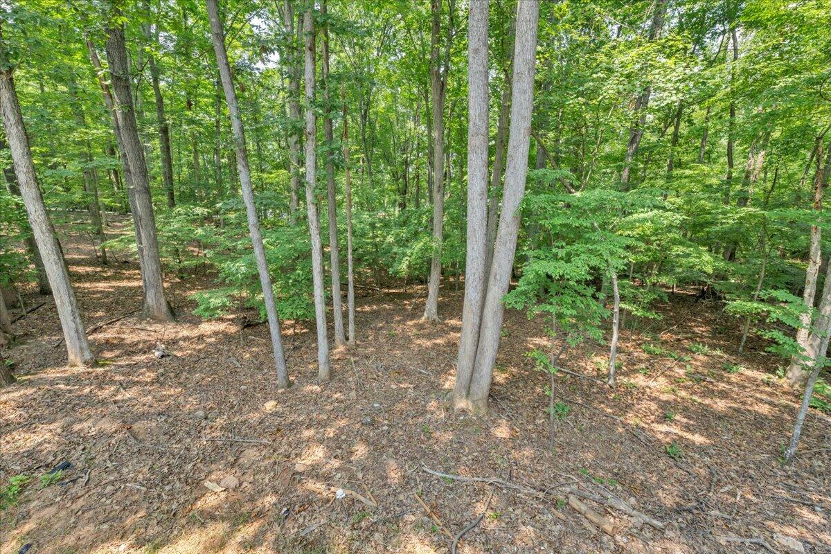 2365 Lakewood Forest Road Moneta, VA 24121 - Photo 45 of 90 a view of outdoor space and trees