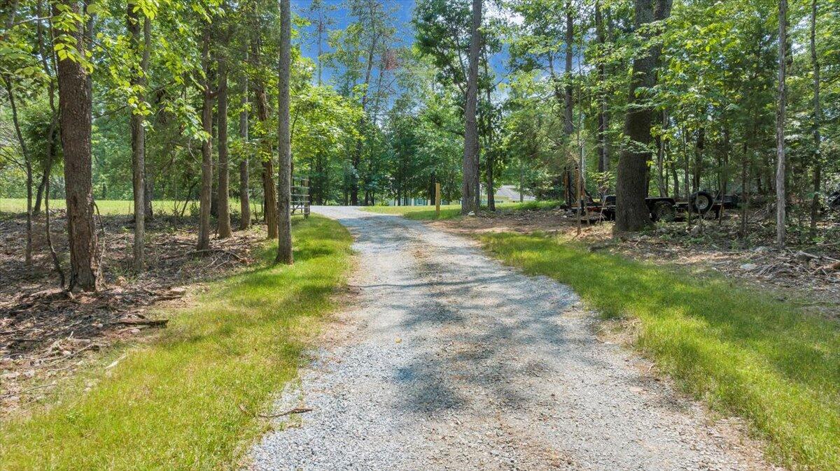 2365 Lakewood Forest Road Moneta, VA 24121 - Photo 53 of 90 a view of a park with trees