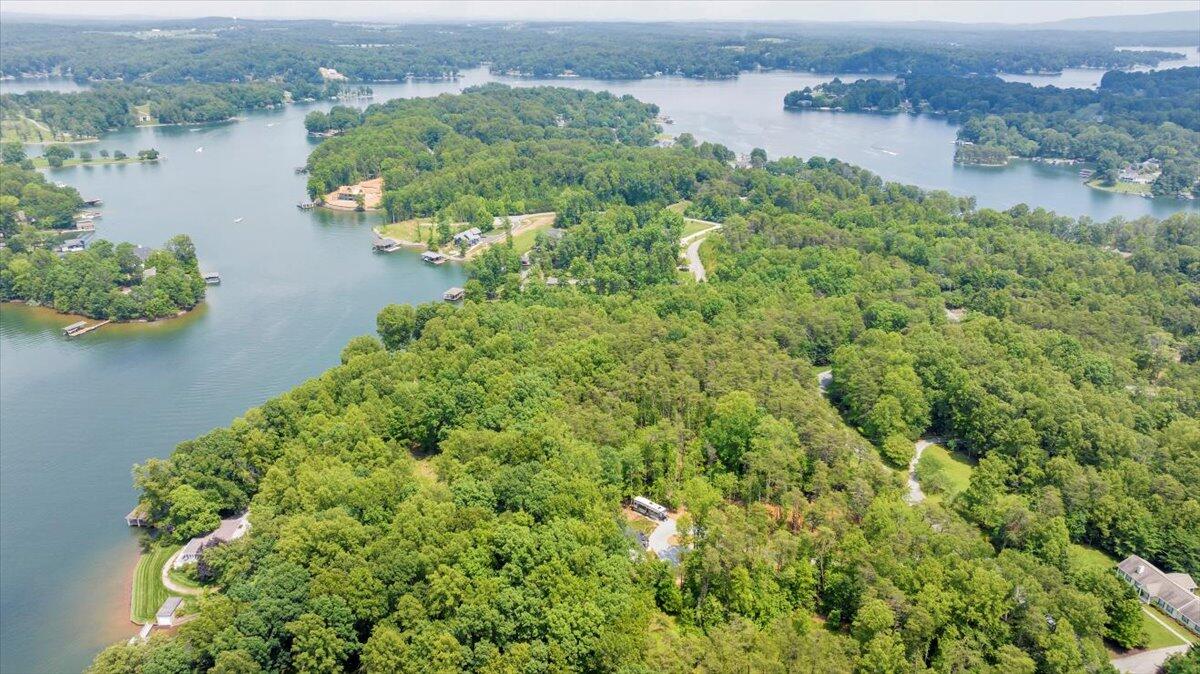 2365 Lakewood Forest Road Moneta, VA 24121 - Photo 65 of 90 an aerial view of a houses with a lake view
