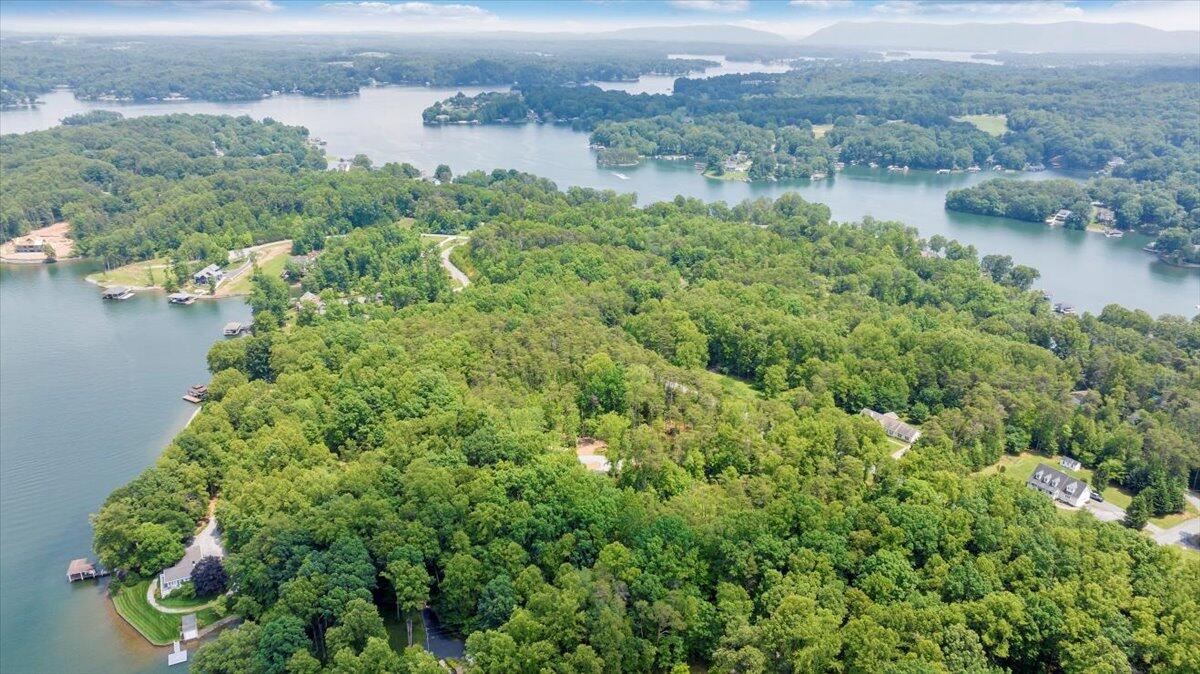 2365 Lakewood Forest Road Moneta, VA 24121 - Photo 66 of 90 an aerial view of residential houses with outdoor space and lake view