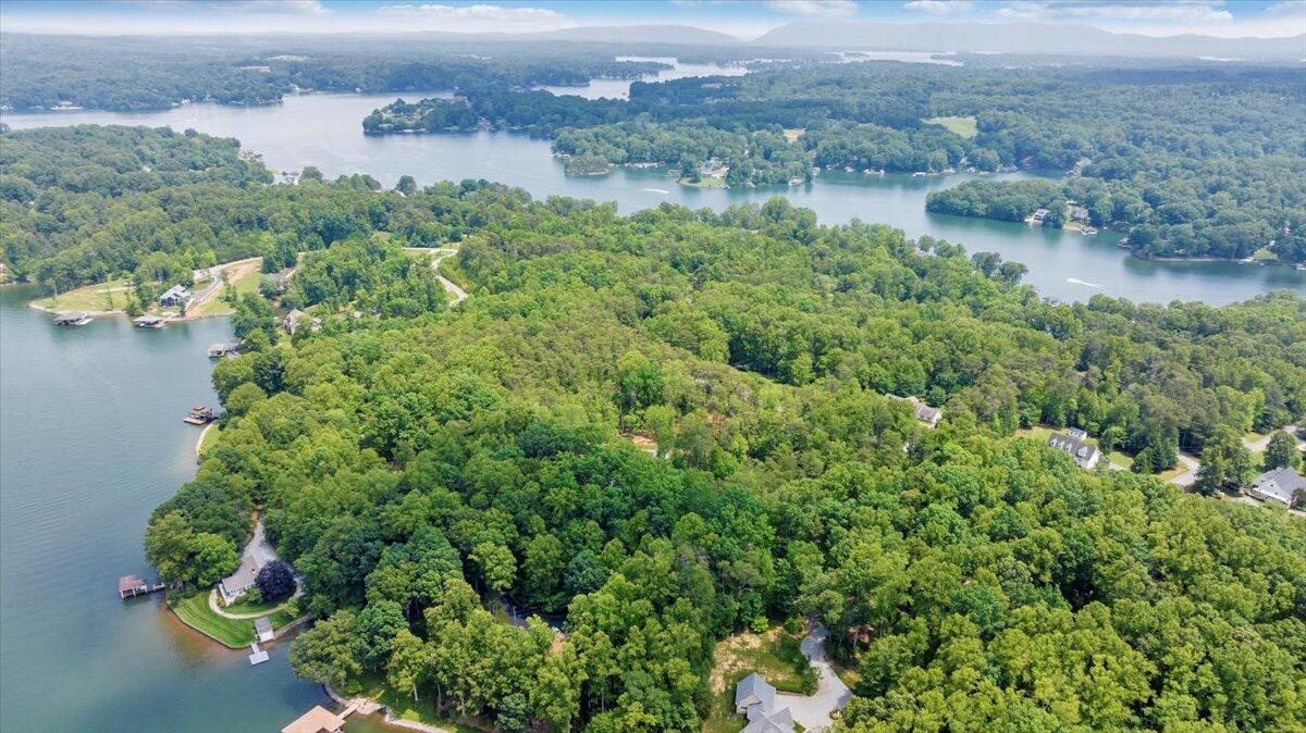 2365 Lakewood Forest Road Moneta, VA 24121 - Photo 67 of 90 Aerial