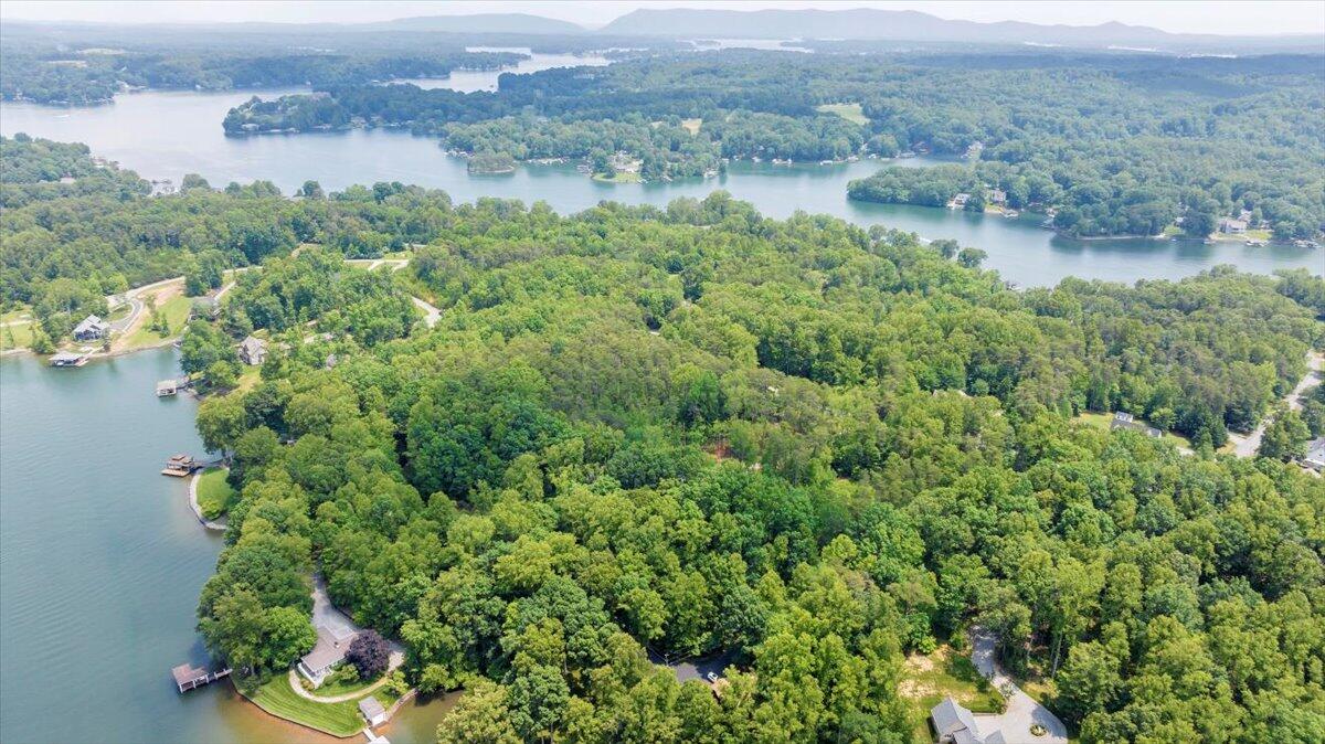 2365 Lakewood Forest Road Moneta, VA 24121 - Photo 68 of 90 an aerial view of houses covered in trees