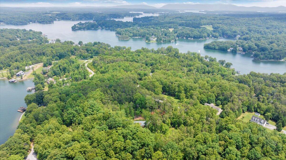 2365 Lakewood Forest Road Moneta, VA 24121 - Photo 69 of 90 an aerial view of a houses with outdoor space and lake view