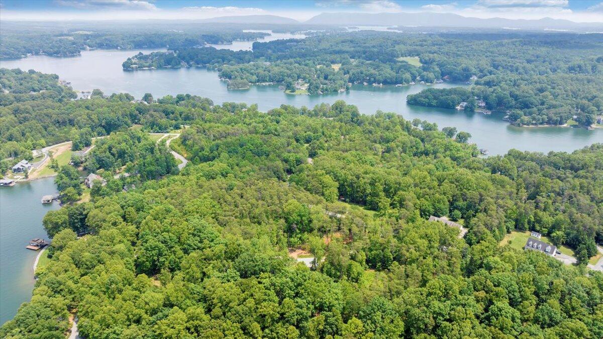 2365 Lakewood Forest Road Moneta, VA 24121 - Photo 70 of 90 an aerial view of residential houses with outdoor space and trees