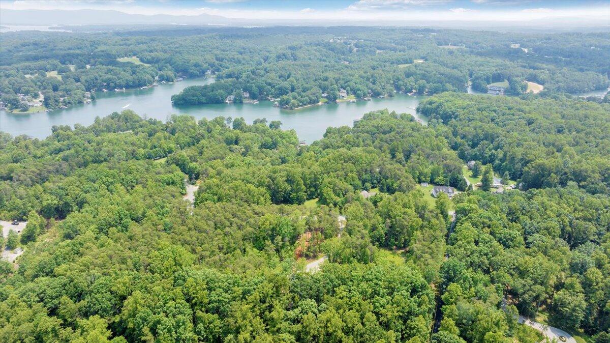 2365 Lakewood Forest Road Moneta, VA 24121 - Photo 71 of 90 Aerial