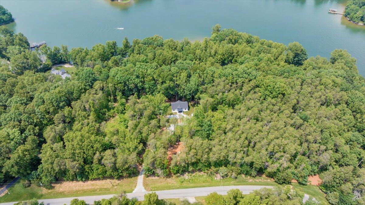 2365 Lakewood Forest Road Moneta, VA 24121 - Photo 73 of 90 a backyard of a house with lots of green space