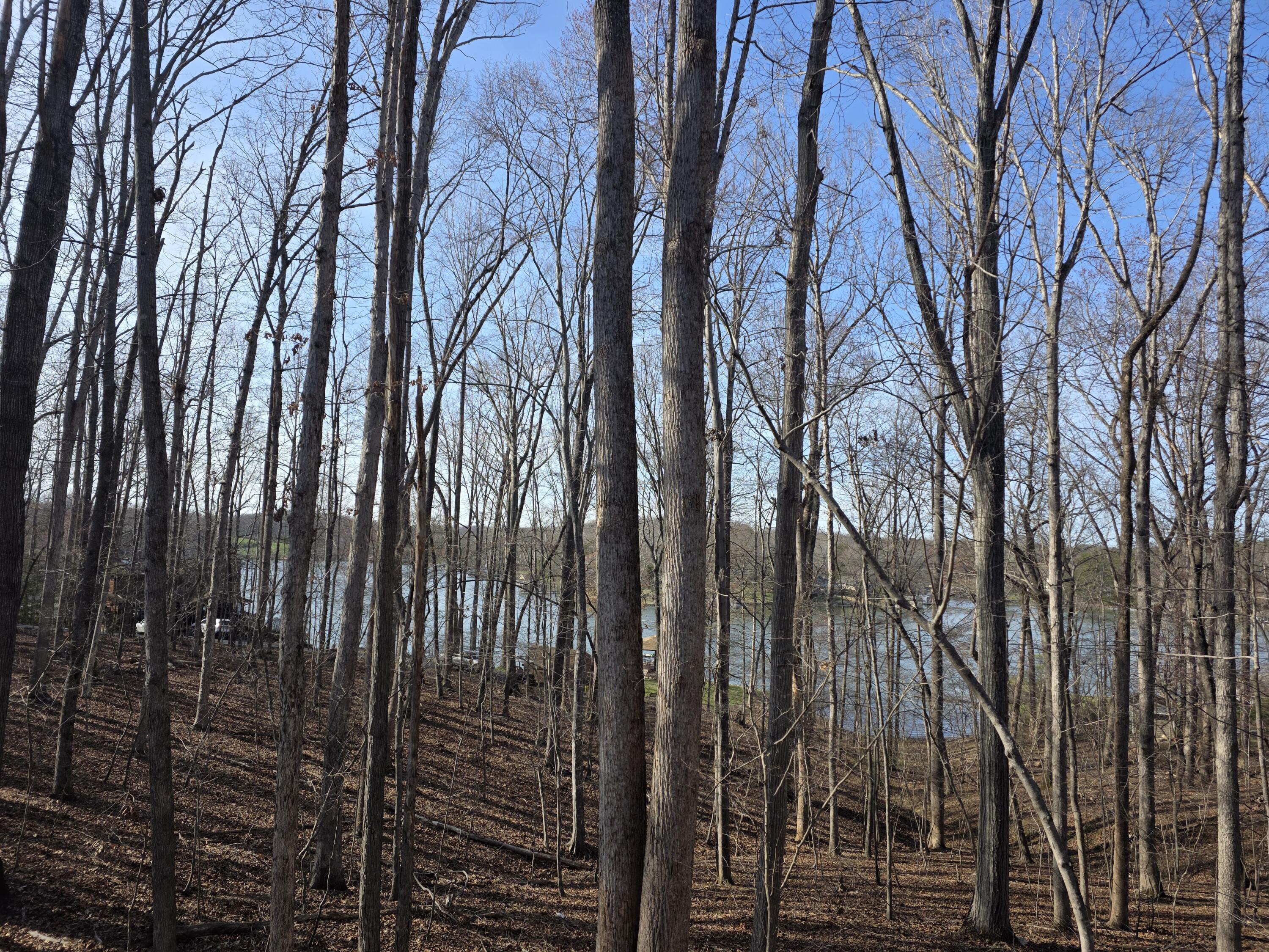 2365 Lakewood Forest Road Moneta, VA 24121 - Photo 81 of 90 a view of outdoor space