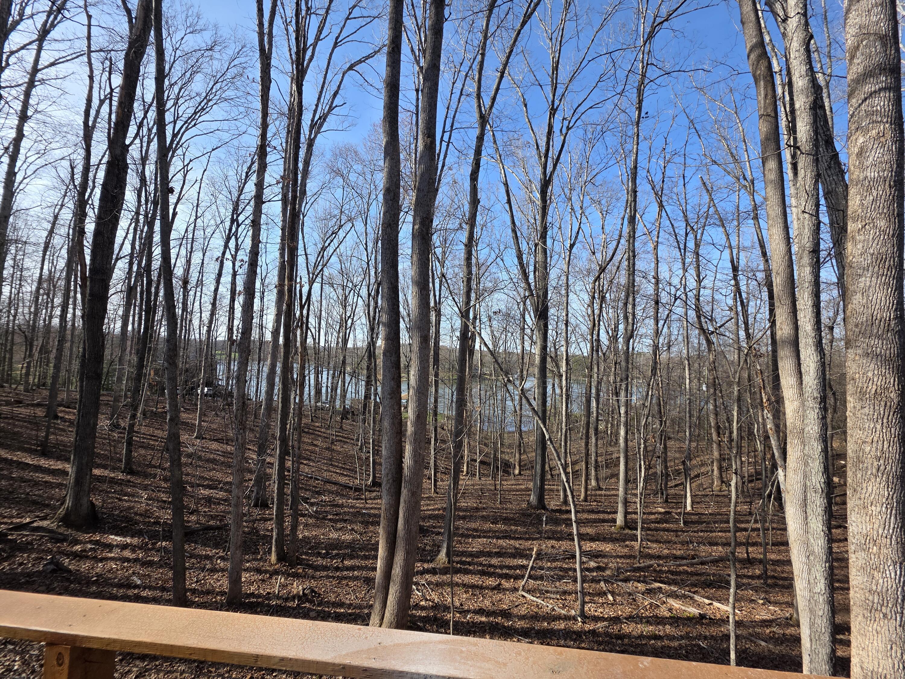 2365 Lakewood Forest Road Moneta, VA 24121 - Photo 82 of 90 Winter View