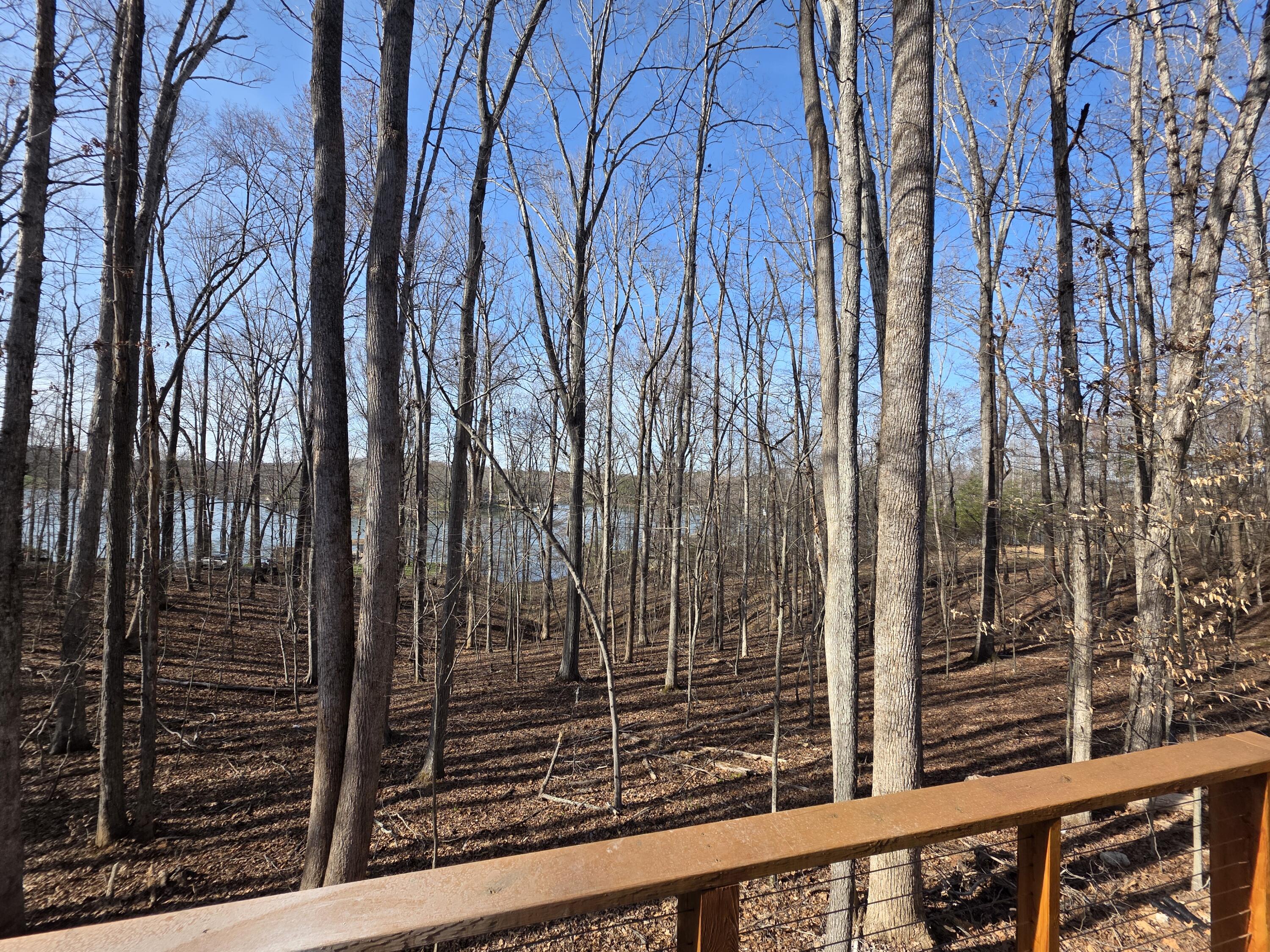 2365 Lakewood Forest Road Moneta, VA 24121 - Photo 83 of 90 a view of a door with a tree