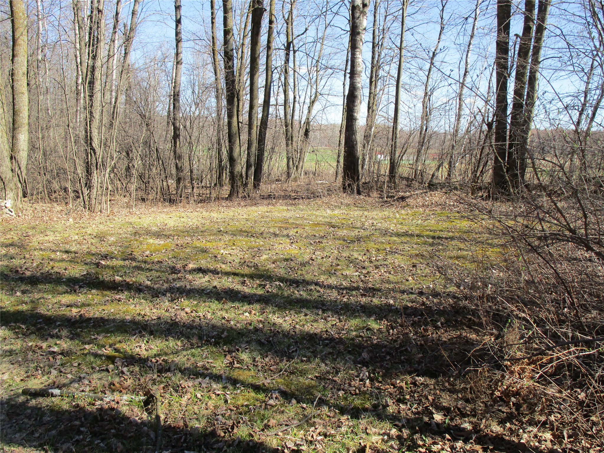 N7110 Hackett Road Hawkins, WI 54530 - Photo 10 of 10