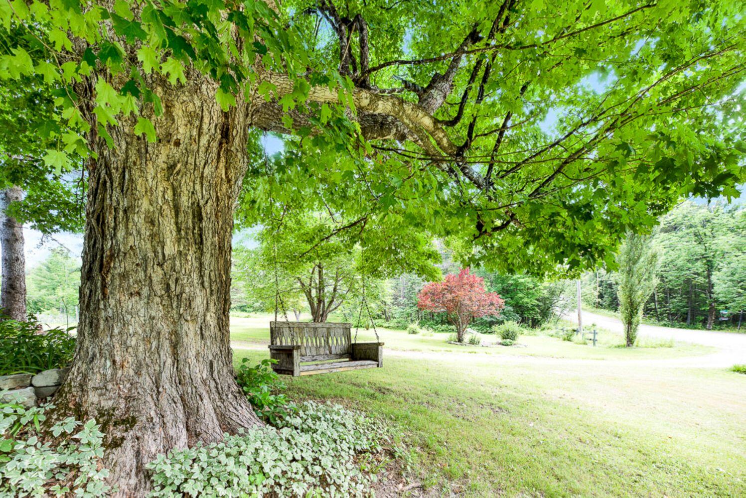 367 Bert Berry Road Concord Township, ME 04920 - Photo 33 of 93 Magical Moments Photography-34