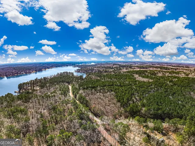 a view of a bunch of trees