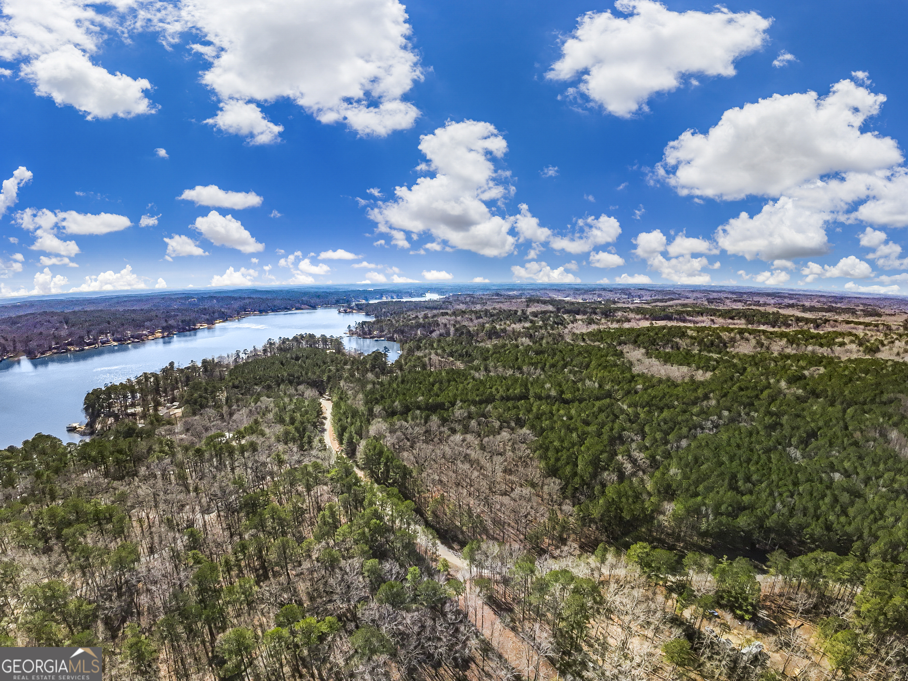 288 Pope Trail Covington, GA 30014 - Photo 1 of 5 a view of a bunch of trees