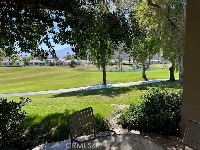a view of a park with large trees