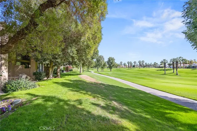 a view of a park with large trees
