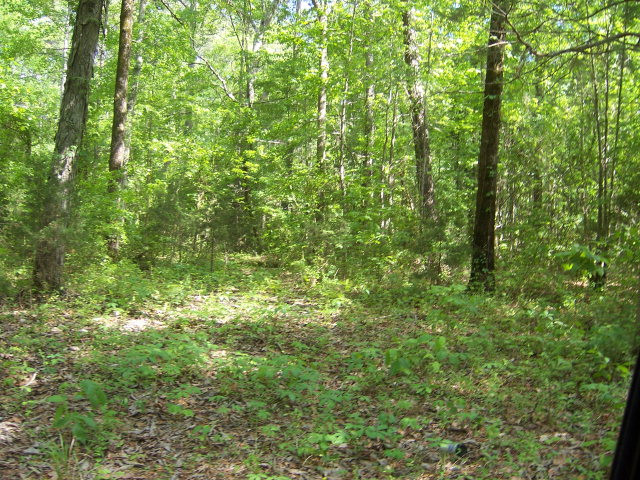 1531 Joy Road Harlem, GA 30814 - Photo 1 of 1 Main View