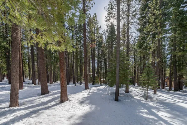 a view of outdoor space with lots of trees