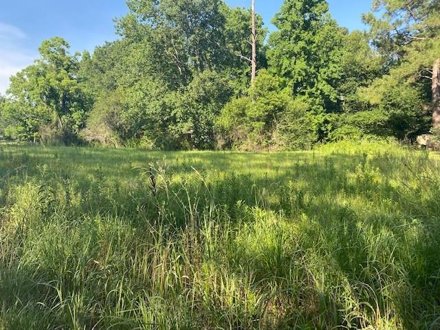 0 White Loop Road Pineville, LA 71360 - Photo 1 of 1 Gallery Image 1
